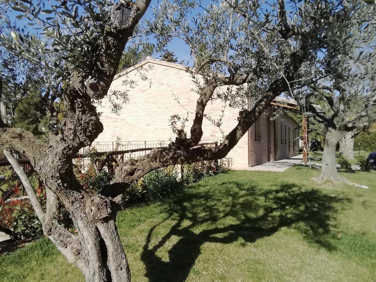 Il Roccolo Di Valcerasa Apartment Treia Bagian luar foto